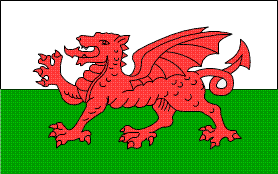 thats a welsh flag